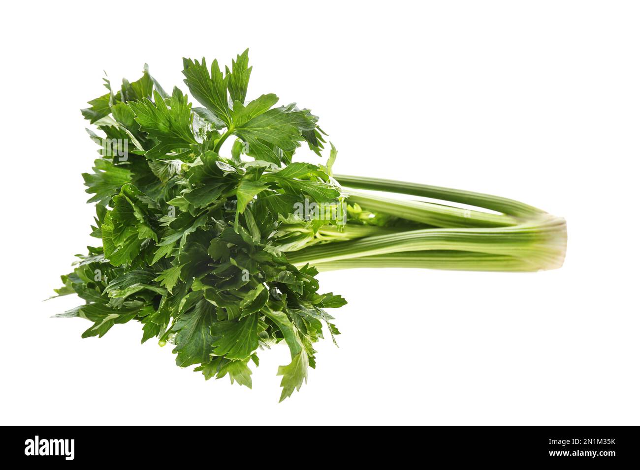 Celery bunch hires stock photography and images Alamy