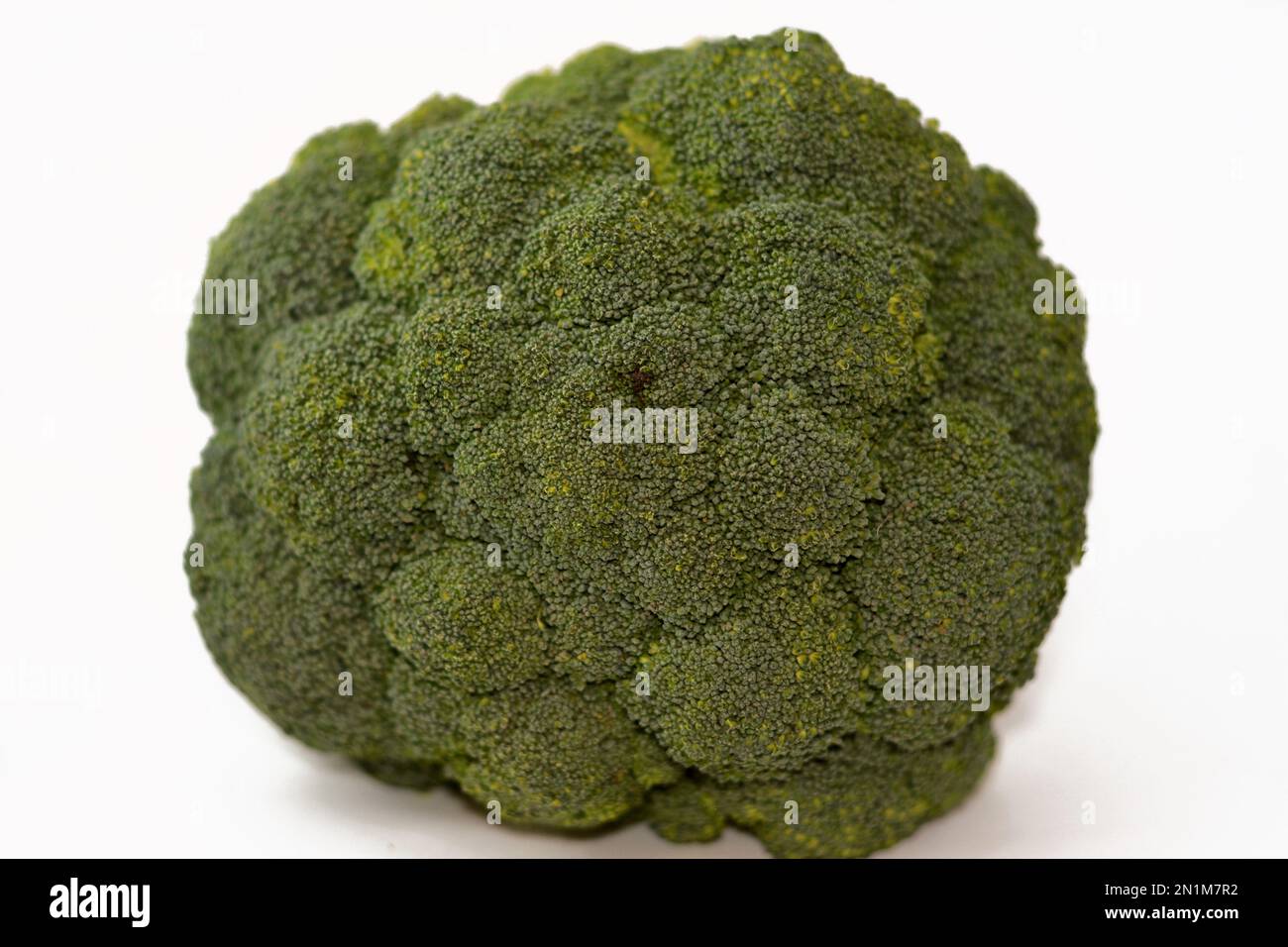 Broccoli (Brassica oleracea var. italica), an edible green plant in the