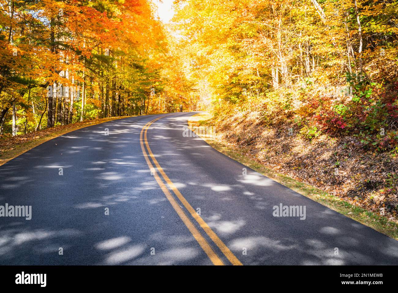 Blue Ridge Parkway winding through the woods in fall near Asheville, North Carolina Stock Photo