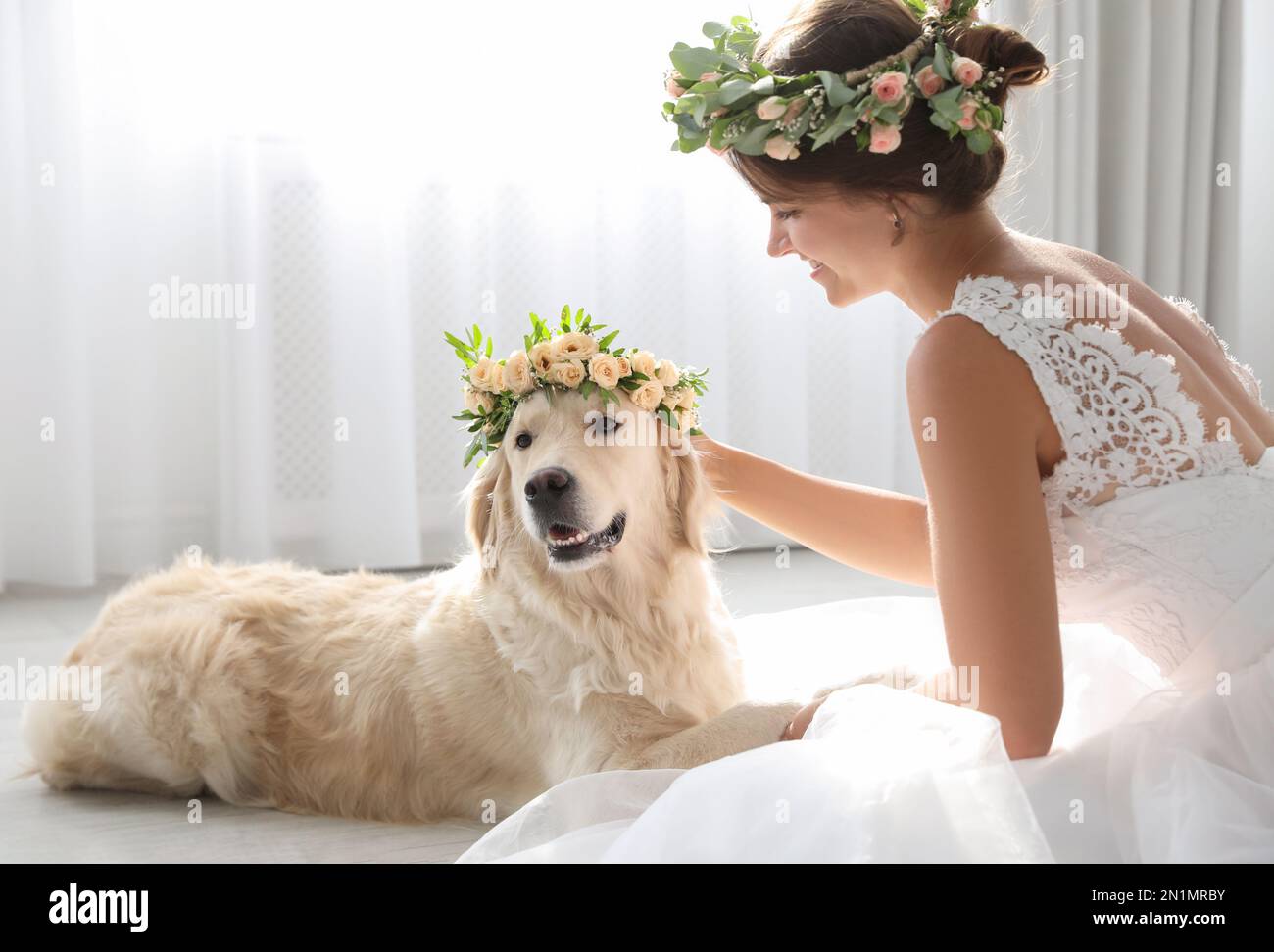 Bride and adorable Golden Retriever wearing wreath made of beautiful  flowers indoors Stock Photo - Alamy