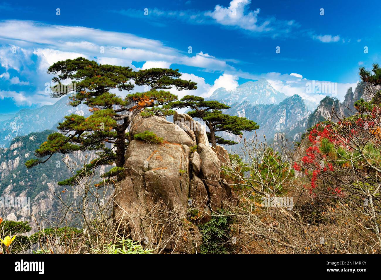 Mountain view with bonsai shaped trees and large standing rocks during nice day Stock Photo
