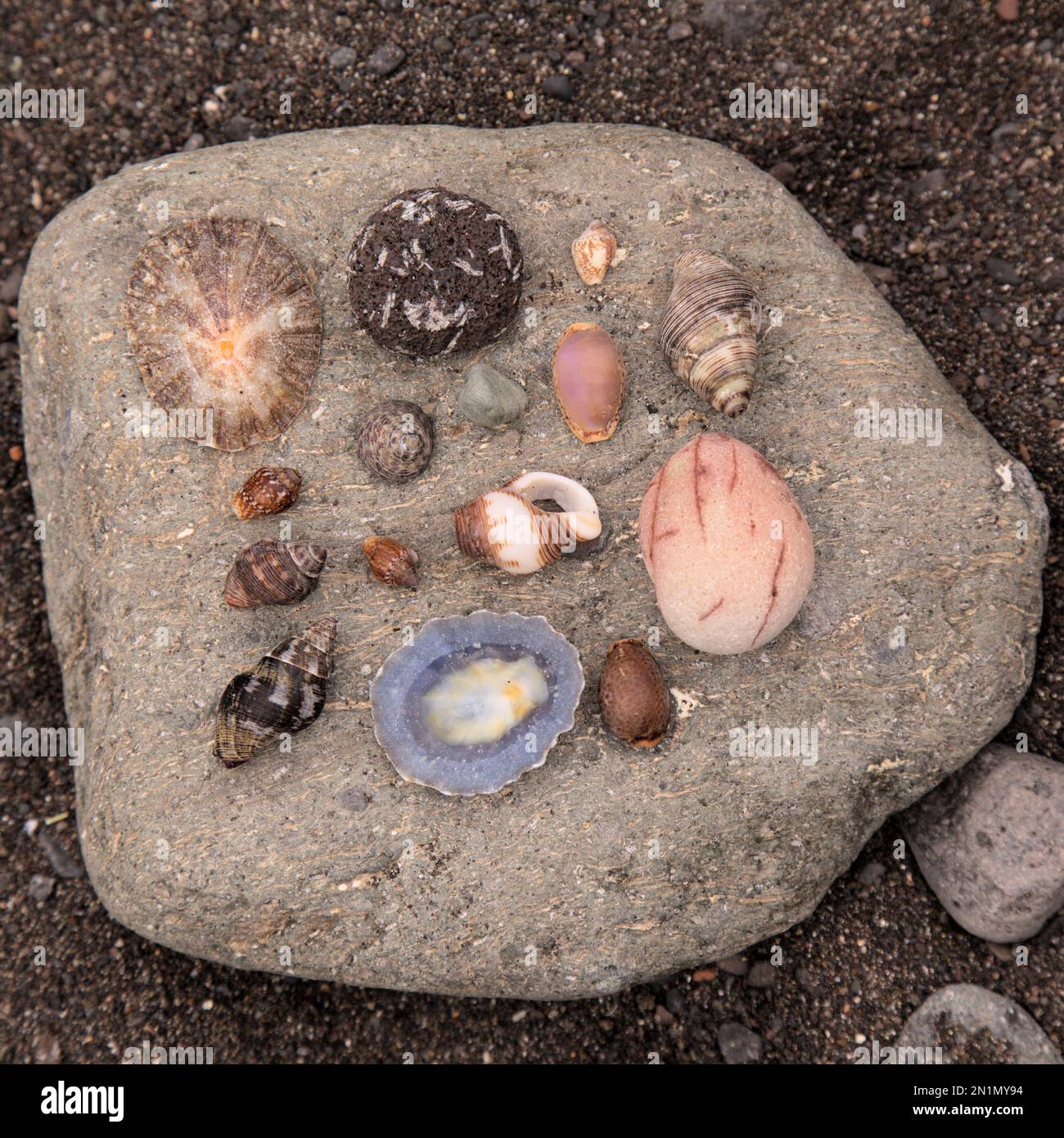 Pebbles and shells collected on beaches of Gran Canaria in La Aldea Municipality Stock Photo