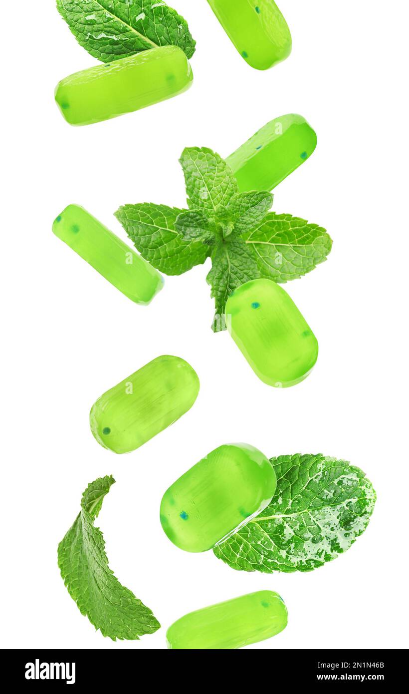 Mints Falling Mint hard candies and green leaves falling on white background Stock ...