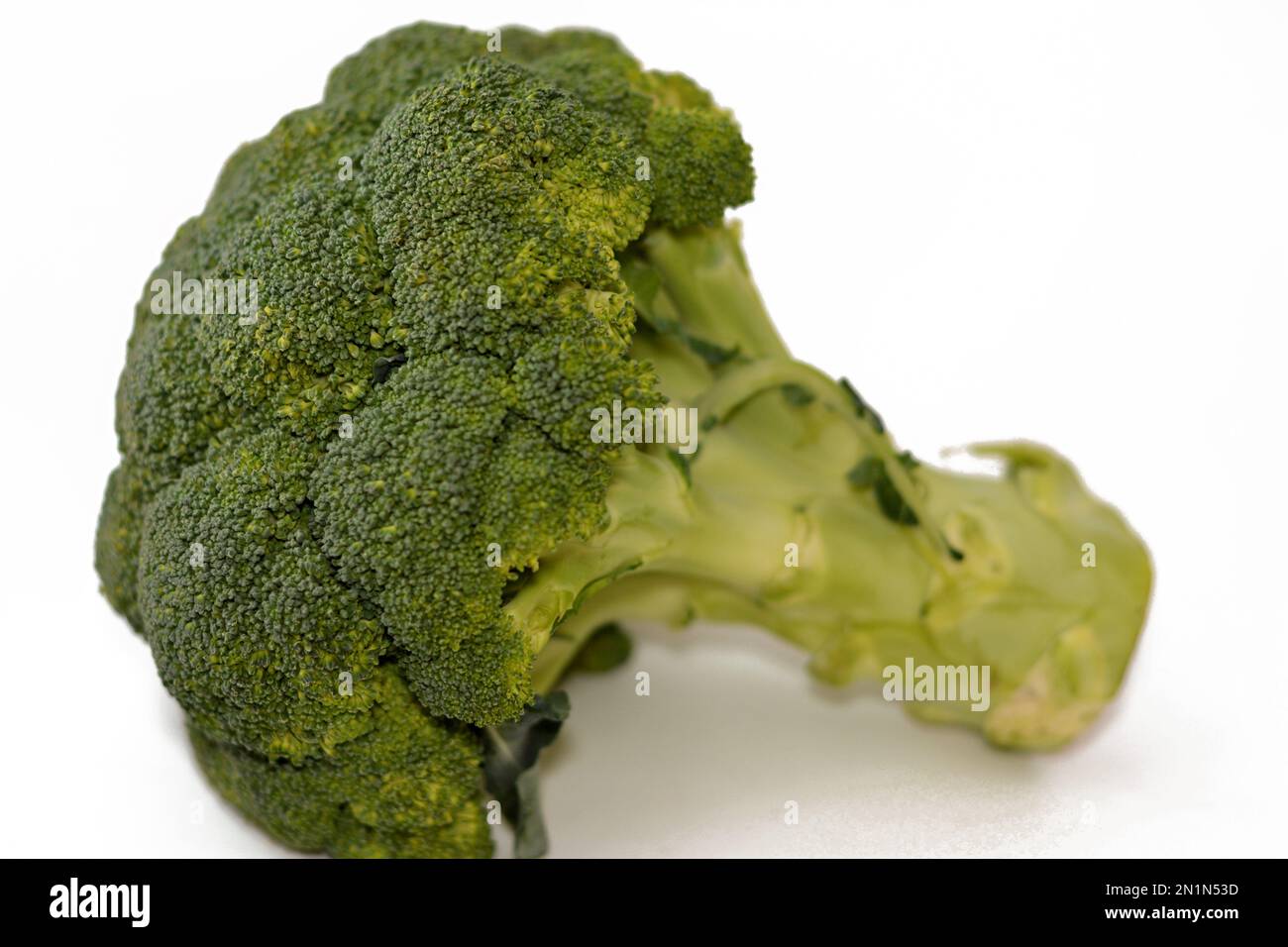 Broccoli (Brassica oleracea var. italica), an edible green plant in the