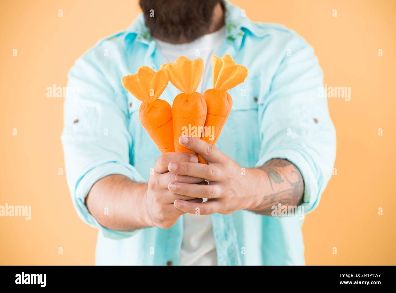 Do you want carrots. Bunch of carrots in male hands. Organic carrots