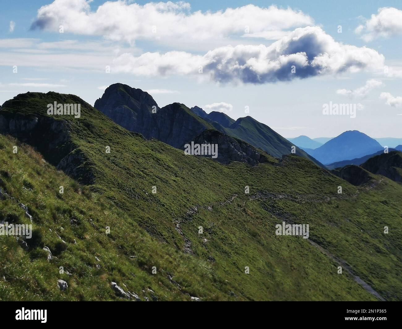 Kosuta hi-res stock photography and images - Alamy