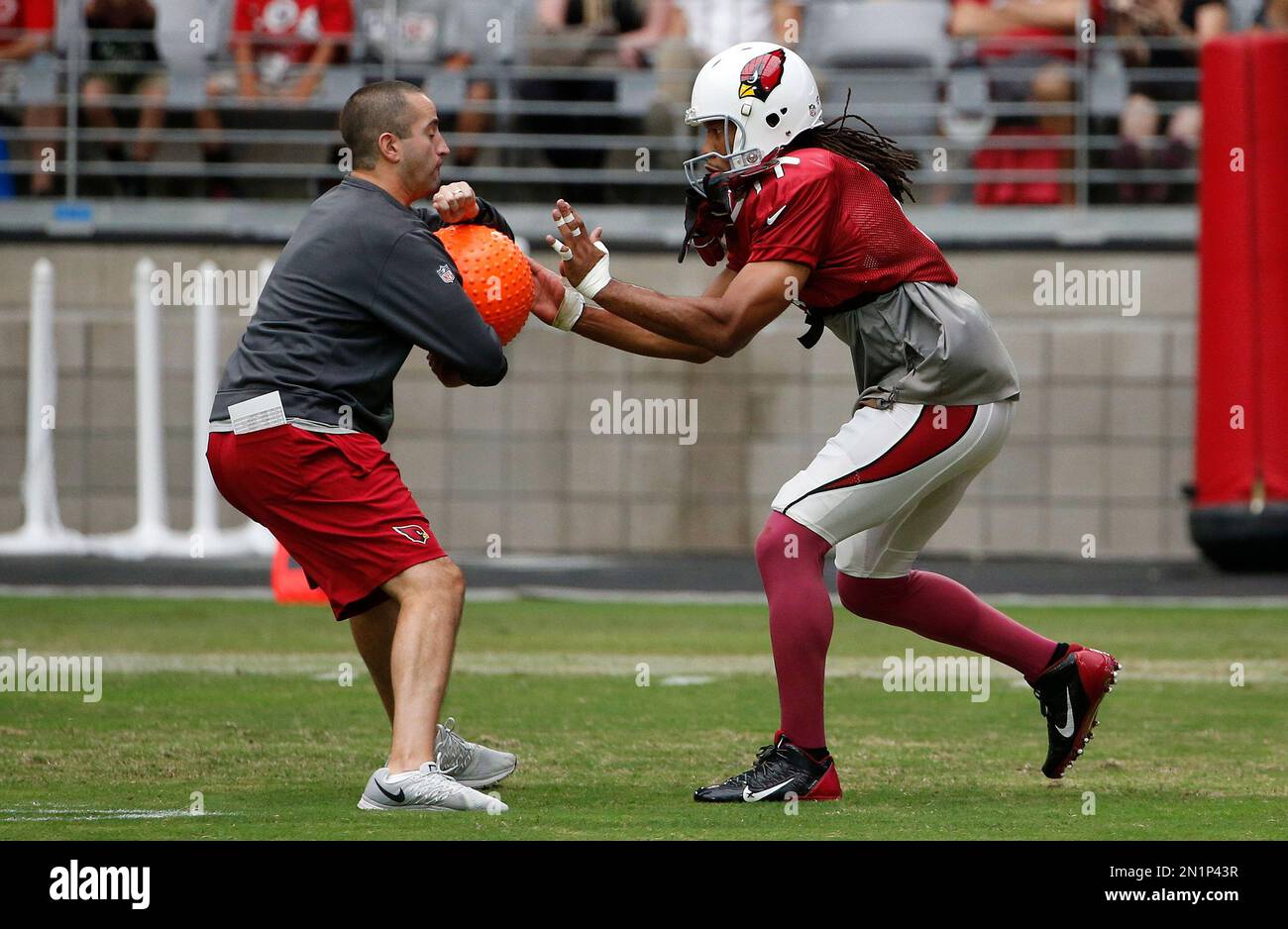 Arizona Cardinals' Larry Fitzgerald (11) runs drills during the