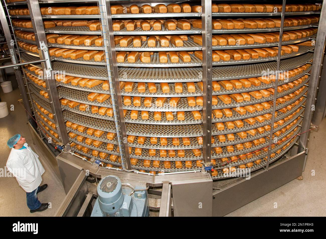 Netherlands. Cooling machine in a bread baking factory, producing for
