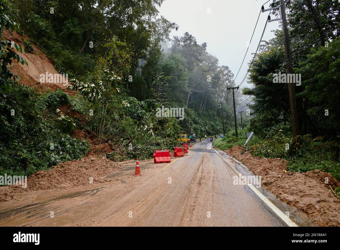 Traffic jam on a mountain road. Fallen tree tree blocking the road ...