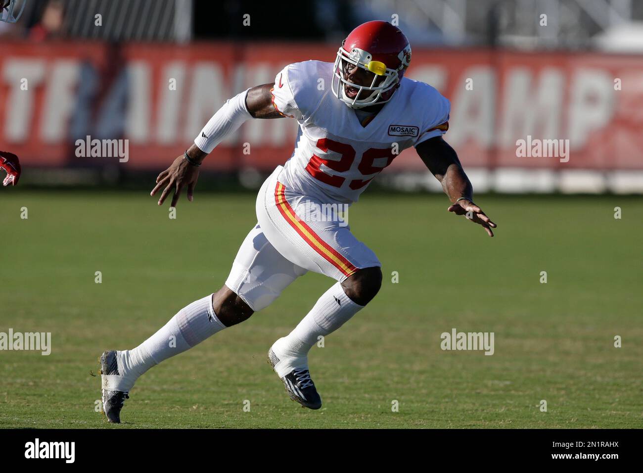 Kansas City Chiefs strong safety Eric Berry during NFL football ...
