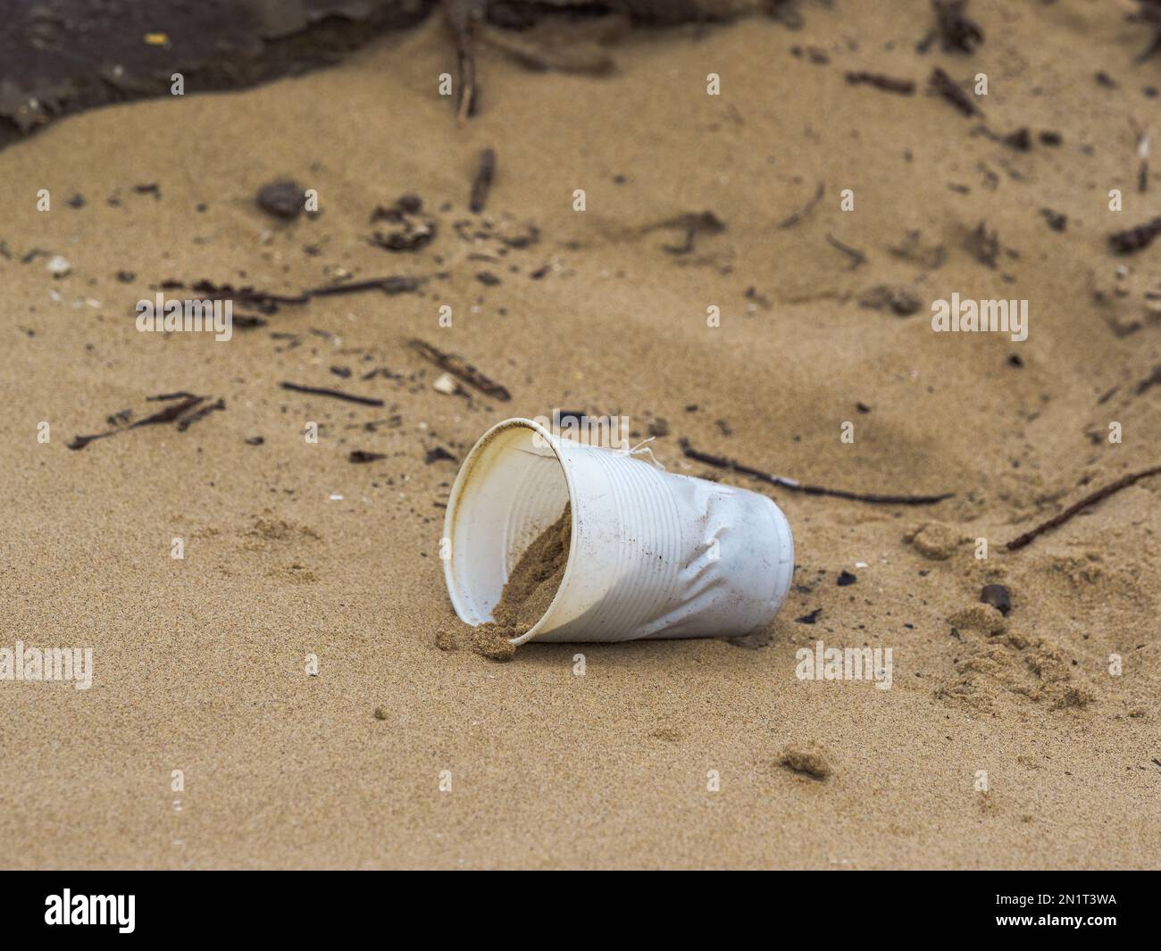 Plastic cup left on the beach discarded by uncaring people Stock Photo