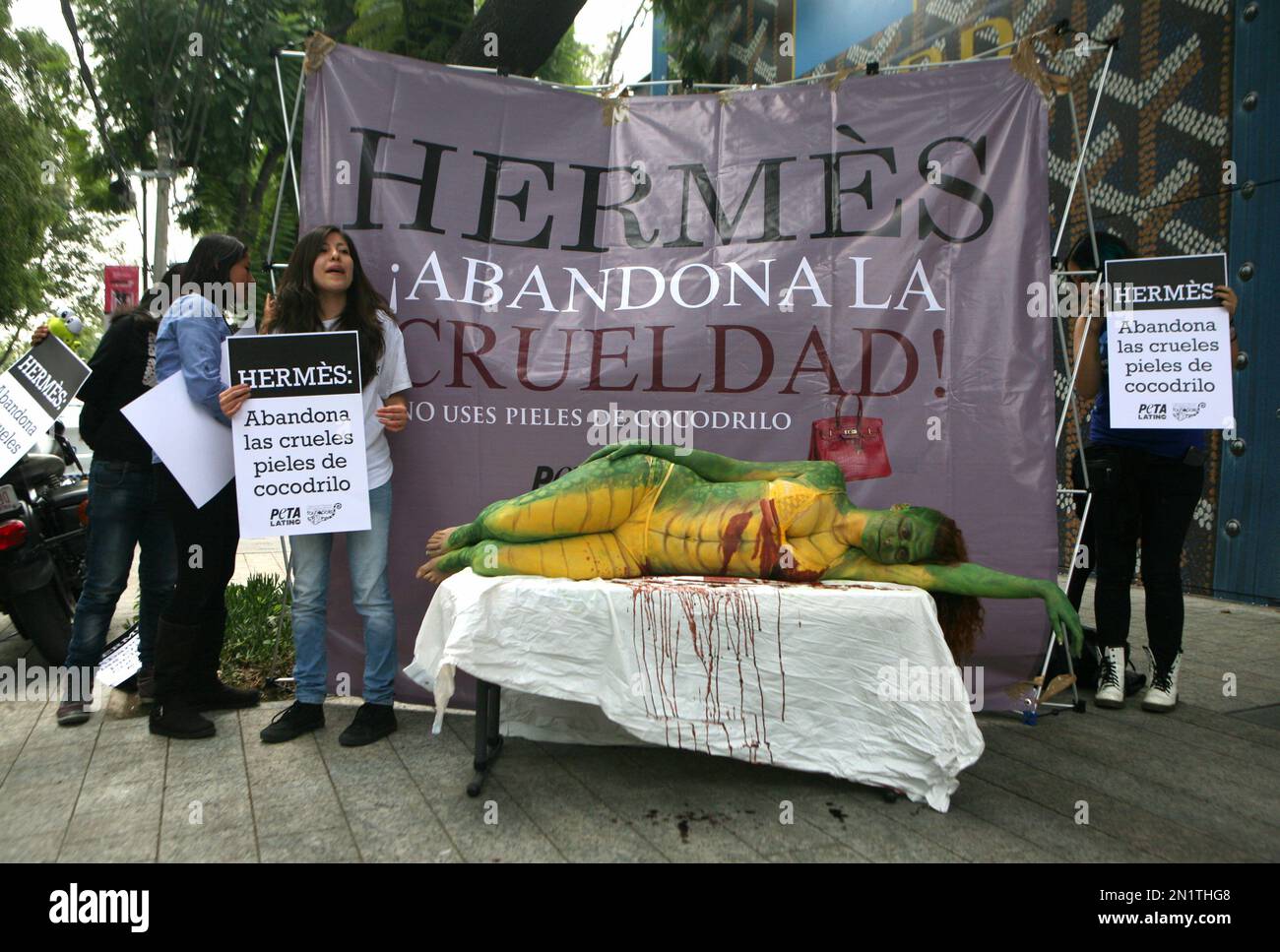 Elena Larea plays the part of a dead crocodile during a protest against animal  cruelty outside a luxury Hermes store in Mexico City, Wednesday, Aug. 5,  2015. The sign behind reads in