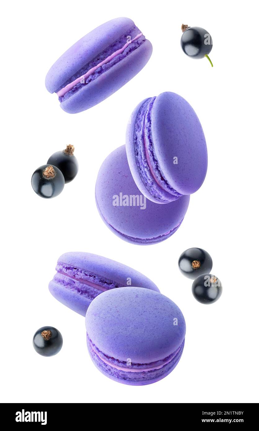 Black currants macaroons levitation, vertical isolated on white background Stock Photo