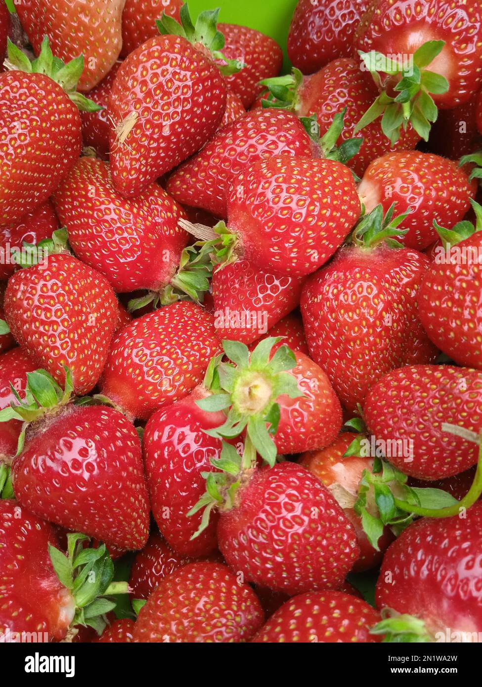 A vertical closeup shot of a pile of delicious juicy red strawberries Stock Photo