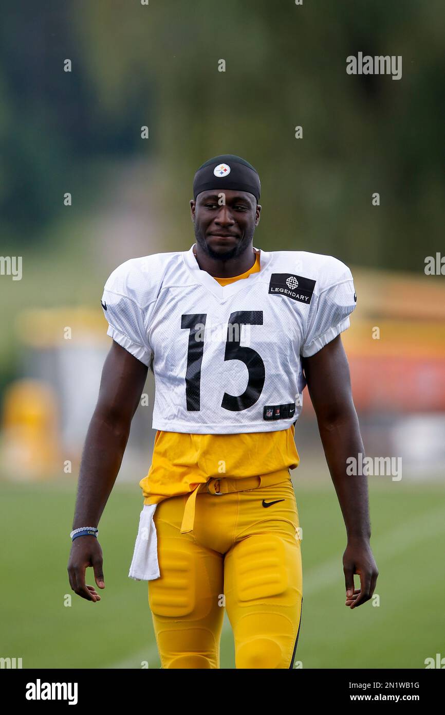 Pittsburgh Steelers wide receiver Devin Gardner (15) at practice