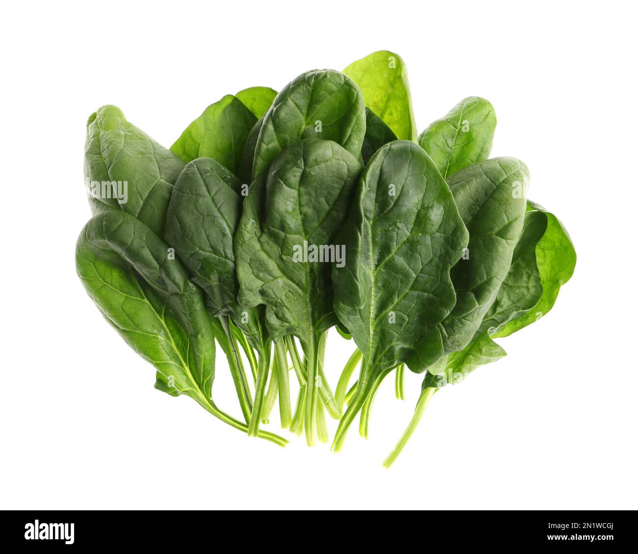 Fresh green healthy spinach leaves isolated on white, top view Stock ...