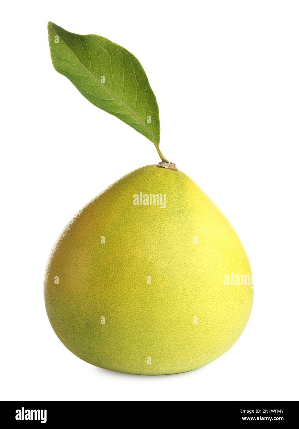 Fresh exotic pomelo fruit with leaf isolated on white Stock Photo Alamy