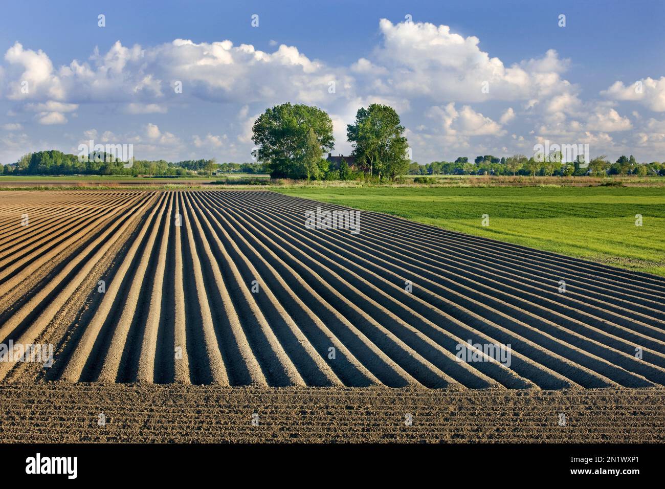 Furrows on a ploughed / plowed field in spring at Schouwen-Duiveland, Zeeland, the Netherlands Stock Photo