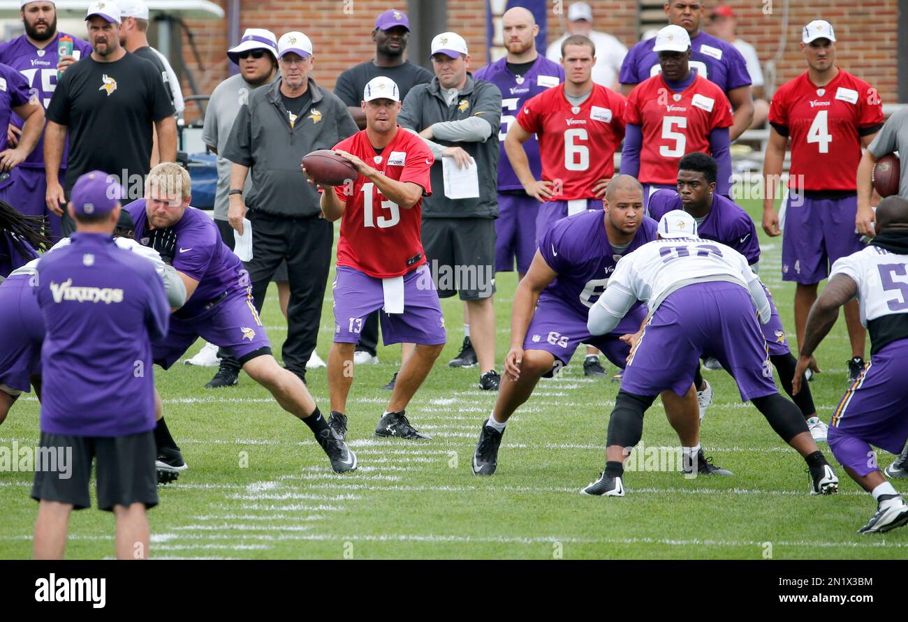 Minnesota Vikings quarterback Shaun Hill takes a snap from the shotgun