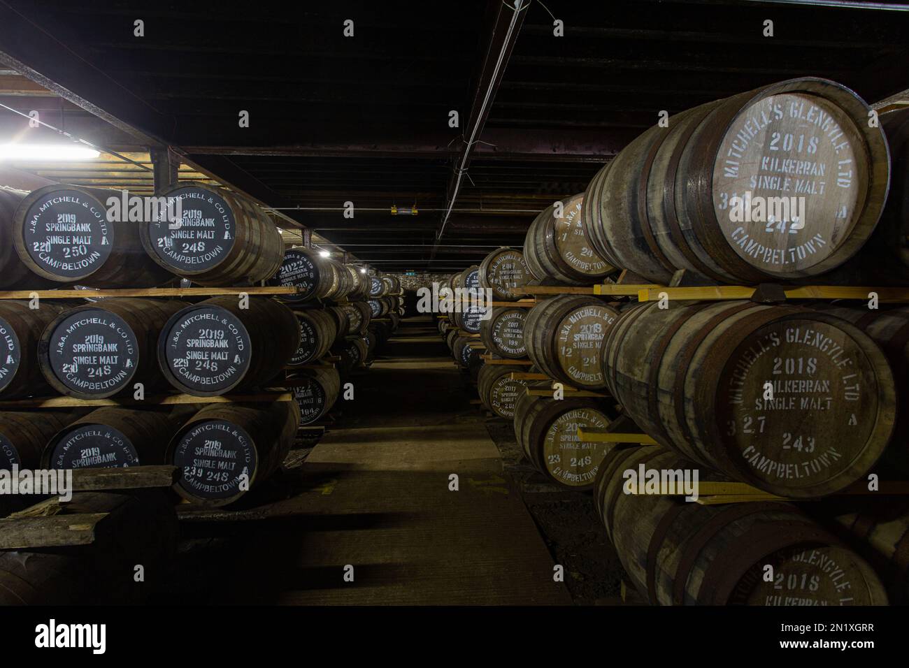Springbank Distillery warehouse full of maturing whisky casks, Campbeltown, Argyll and Bute, Scotland, UK Stock Photo