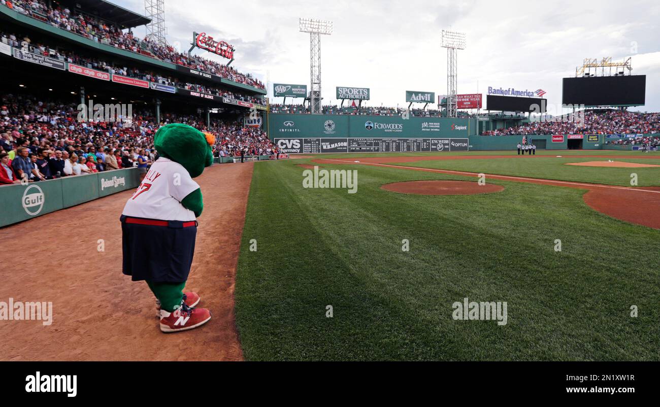 Wally the Green Monster, the Boston Red Sox's mascot, at Fenway Park,  Tuesday, Sept. 13, 2016, in Boston. (AP Photo/Charles Krupa Stock Photo -  Alamy