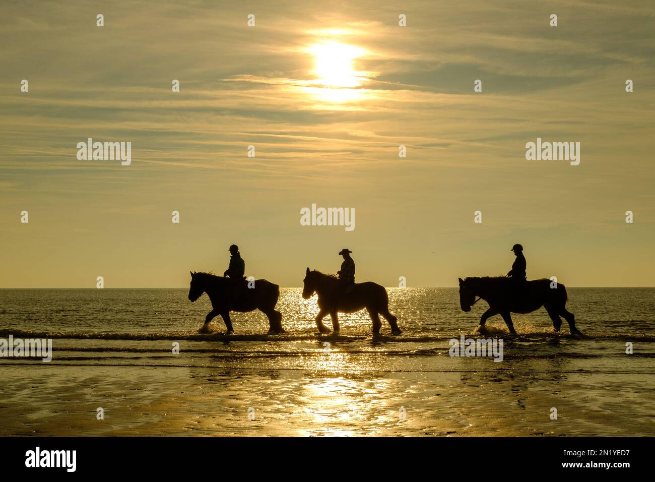 Sunset silhouette cowboy riders horses hi-res stock photography and ...