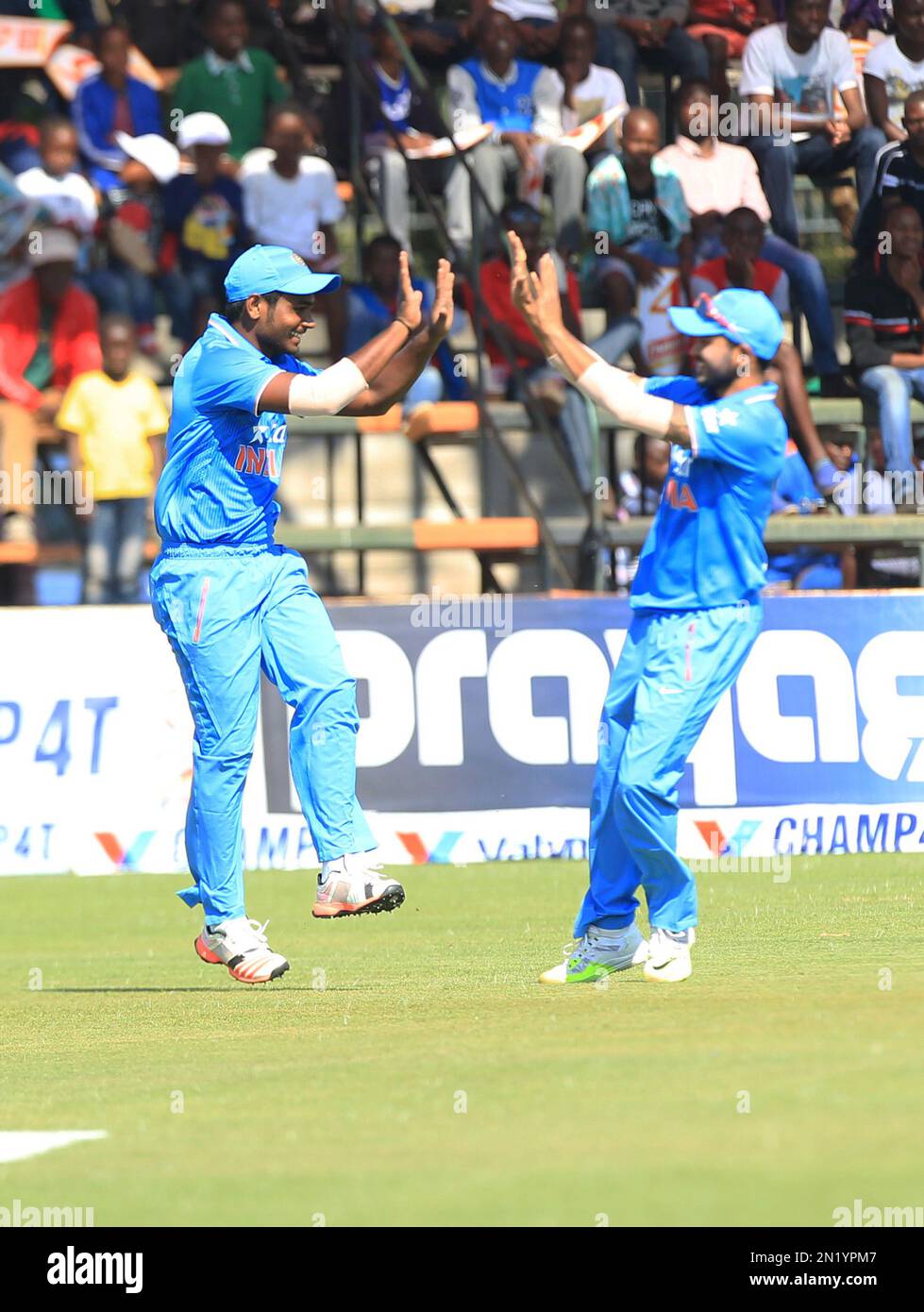 Indian cricket players celebrate the wicket of Zimbabwean batsman