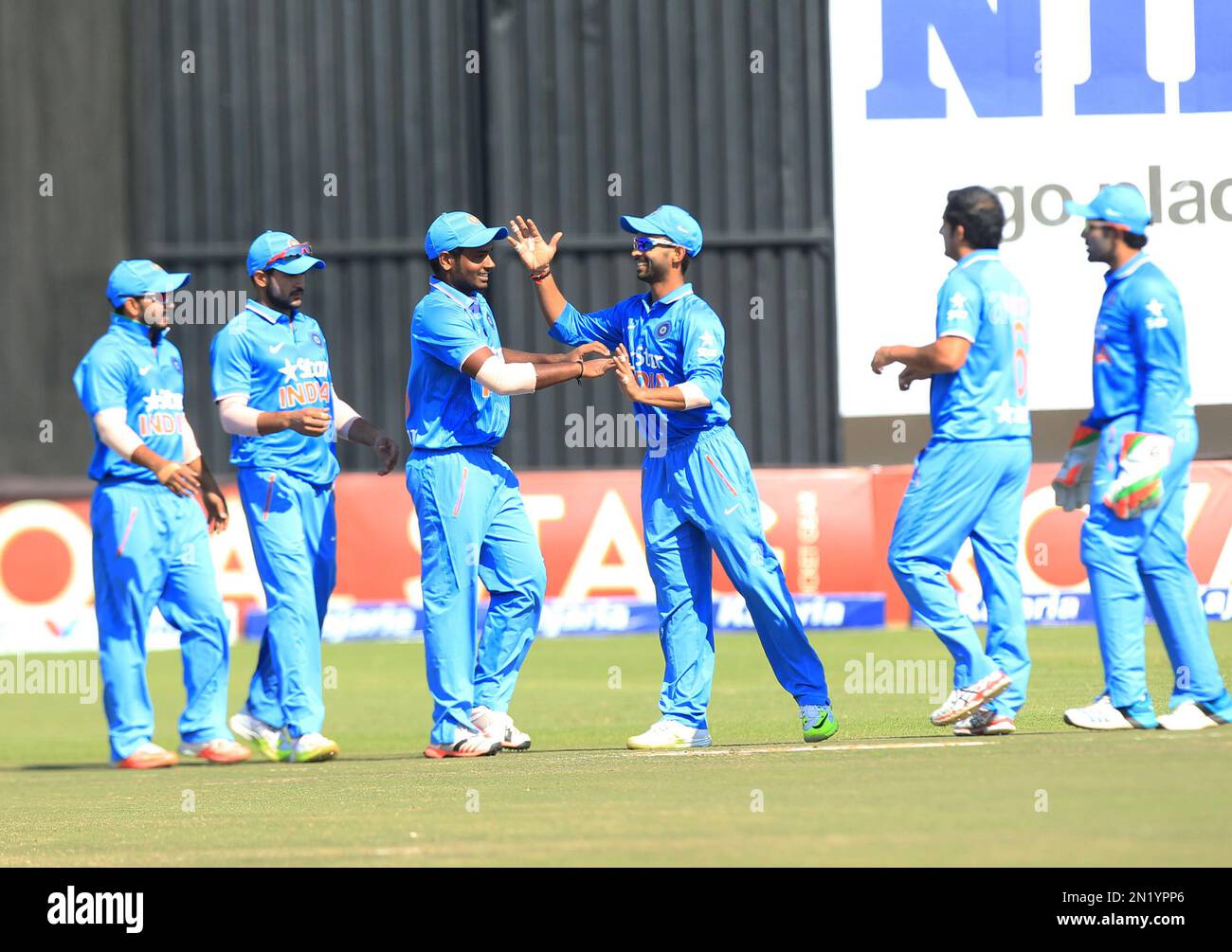 Indian cricket players celebrate the wicket of Zimbabwean batsman
