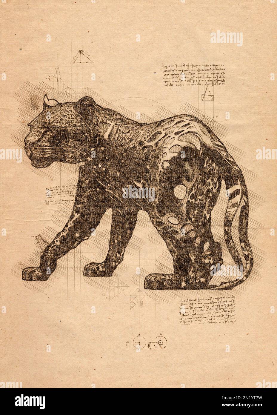 Digital sketch of a jaguar in old sketch style Stock Photo