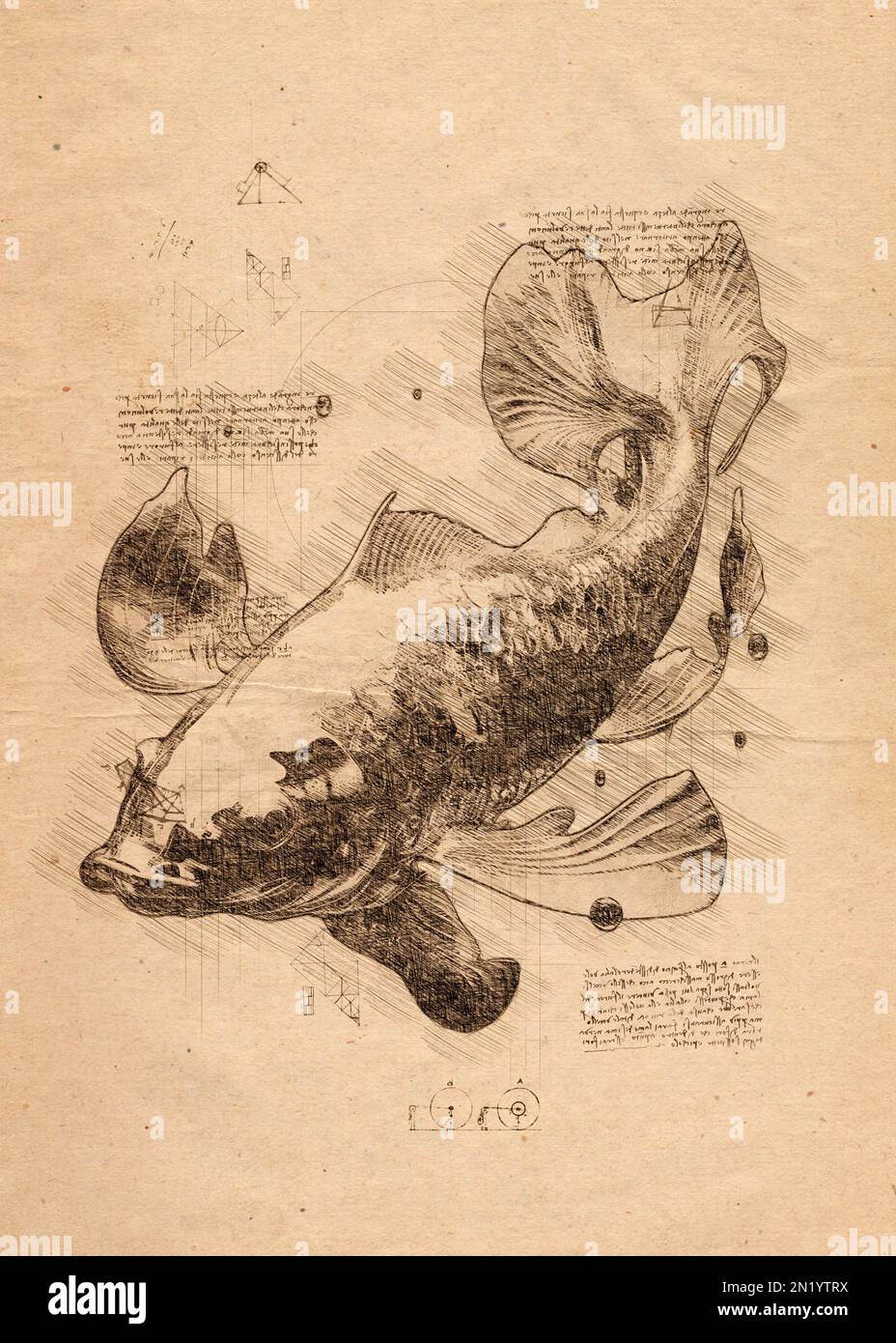 Digital illustration or drawing of a fish in pencil sketch style Stock Photo