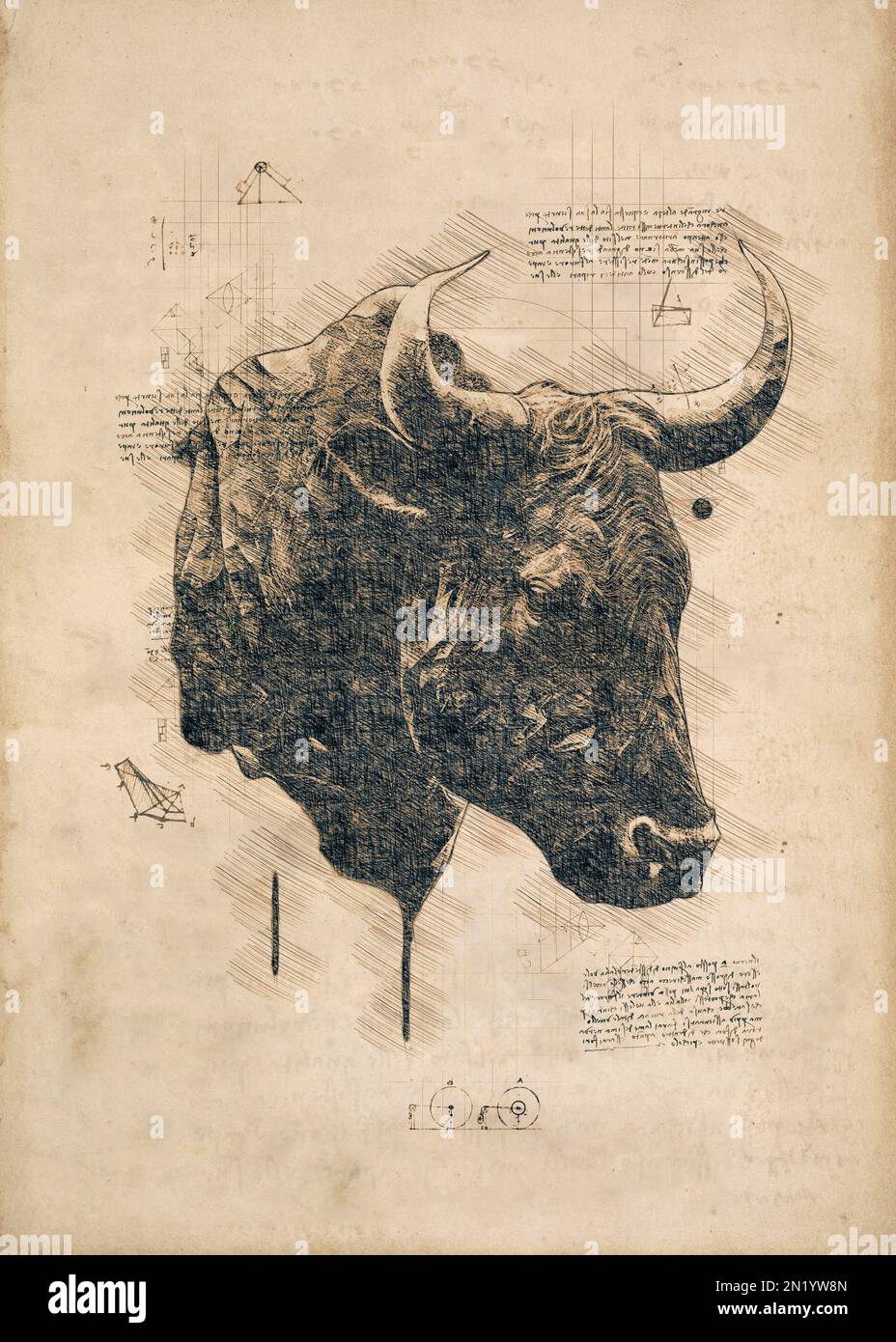 Digital sketch of a bull in old sketch style Stock Photo