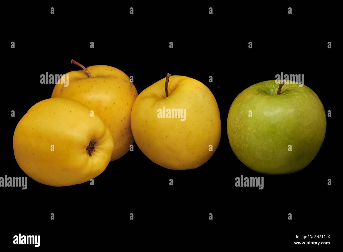 Image of three yellow apples and one green on a black background Stock Photo