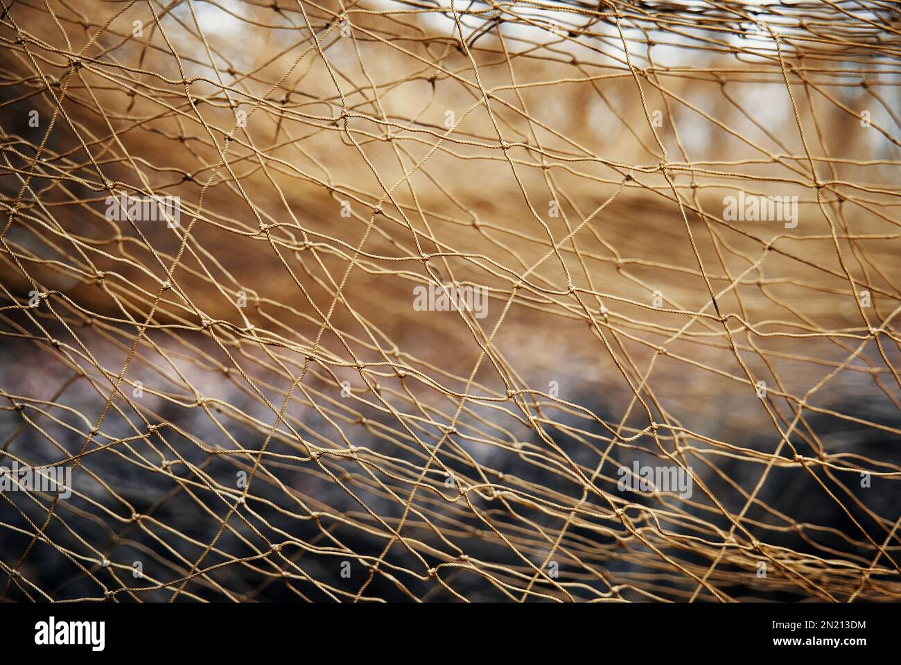 Nets for catching wild animals in the forest. Trapping game animals