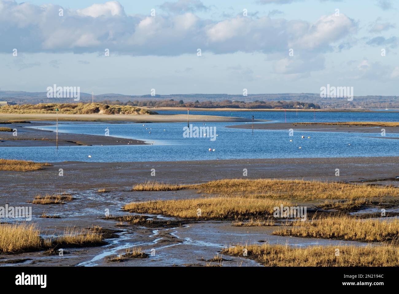 View to East Head across Snowhill creek and saltmarshes with stands of Cord grass (Spartina sp.) near West Wittering, Chichester Harbour, Hampshire UK Stock Photo
