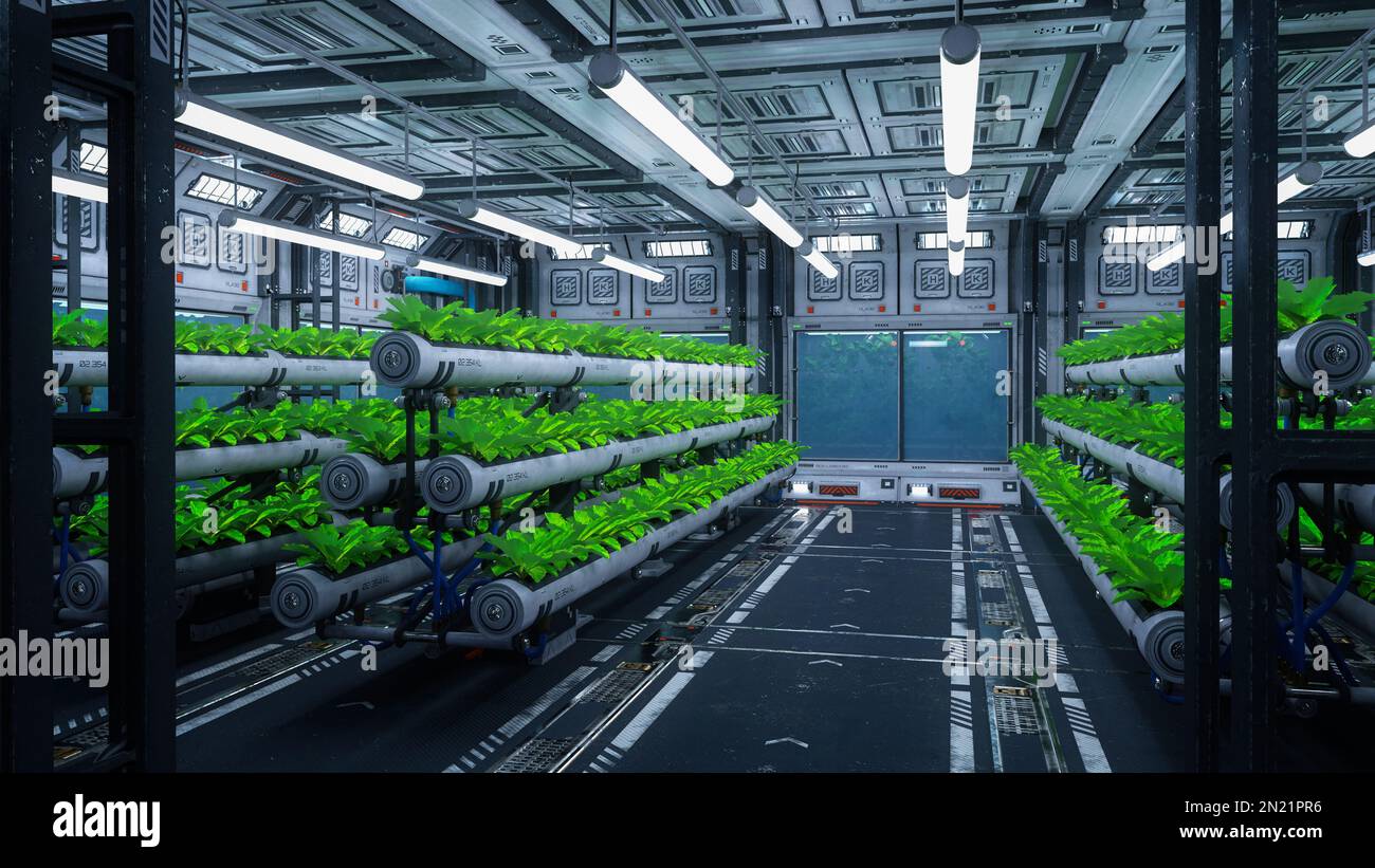Green plants growing in a futuristic space station or ship. Science fiction  interior 3D illustration Stock Photo - Alamy