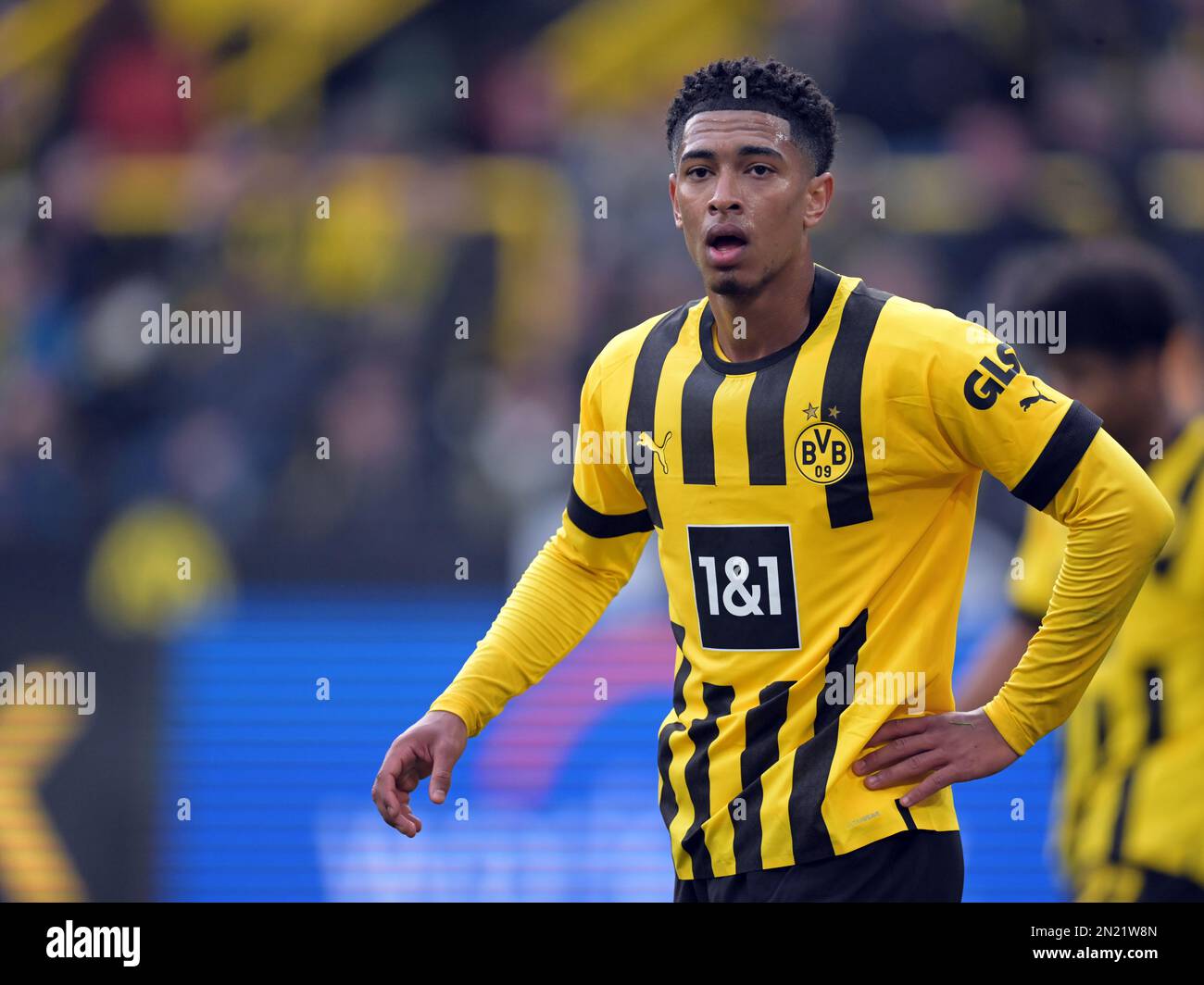 dortmund-jude-bellingham-of-borussia-dortmund-during-the-bundesliga