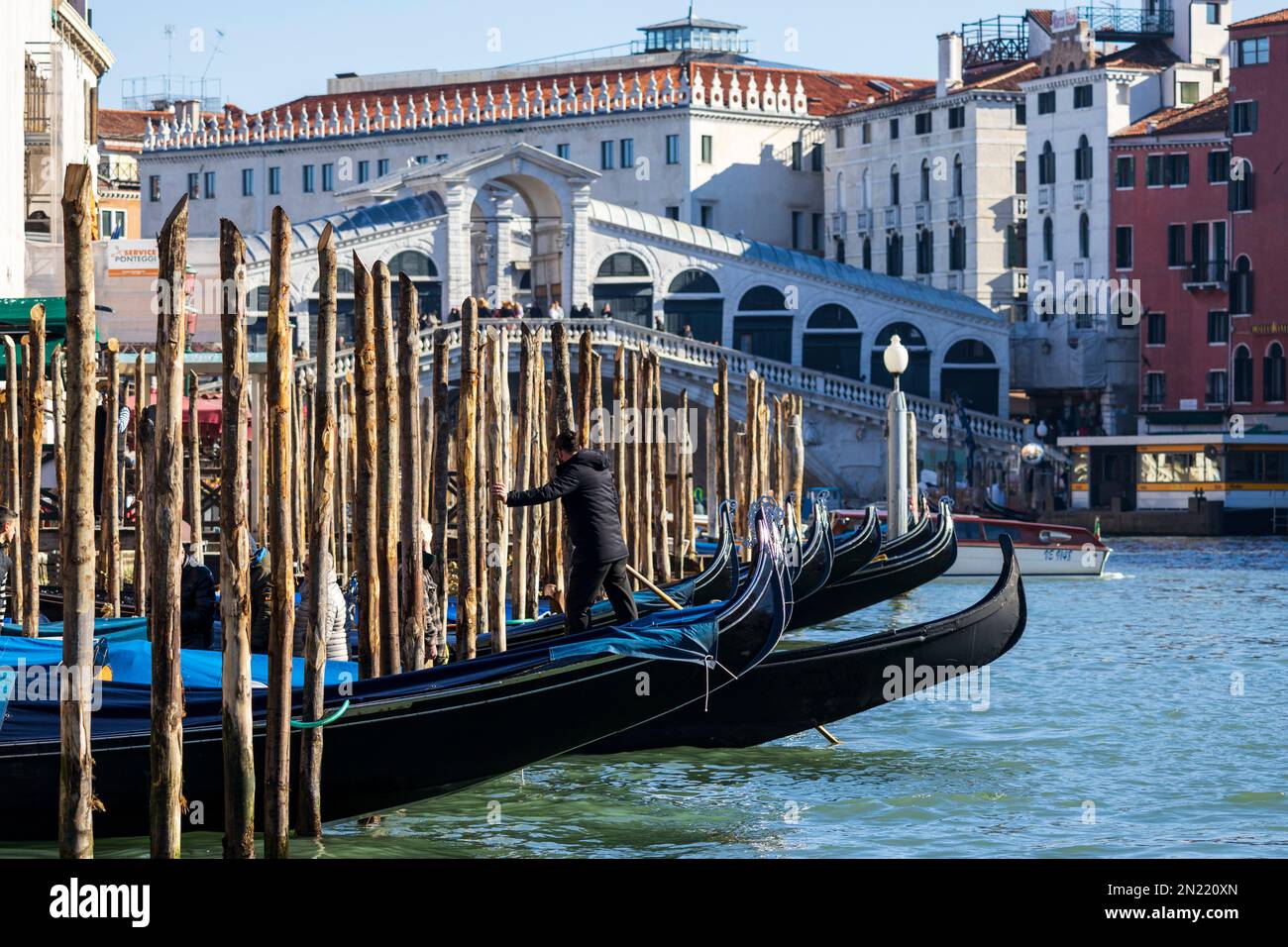 Gondolas, Rialto Bridge, Canal Grande, Grand Canal, Venice, Veneto, Italy, Europe Stock Photo