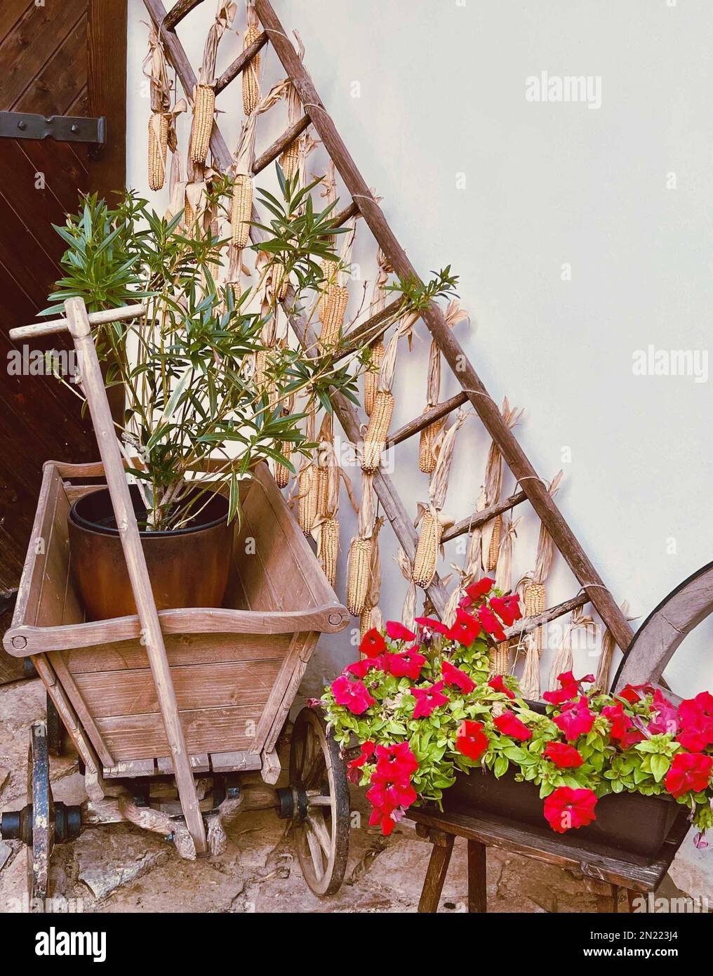 Here is text space with country garden tools and red petunias with old wood cart next to ladder. Stock Photo