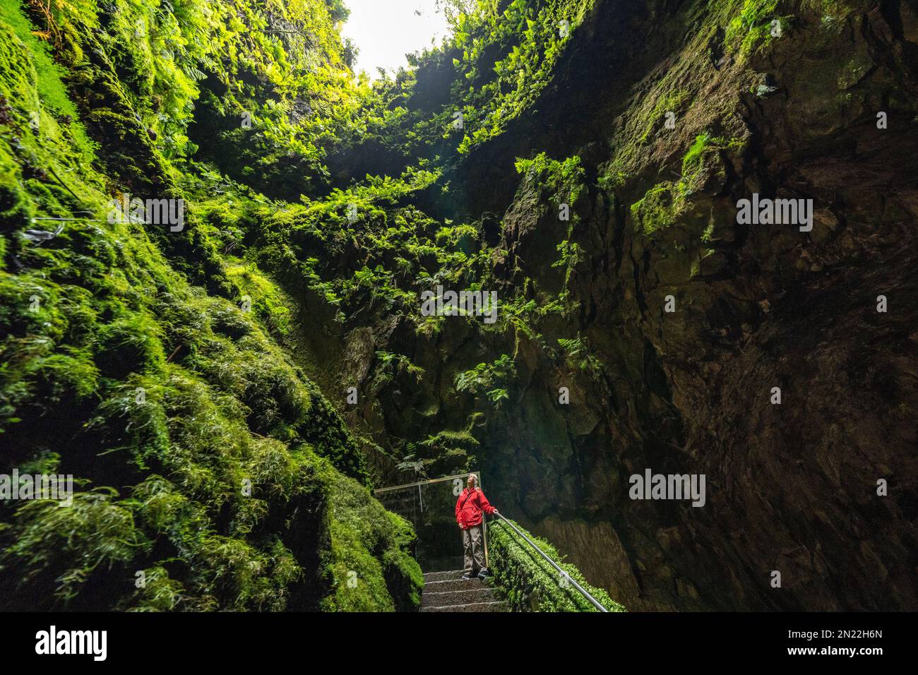 A tourist looks up inside the Algar do Carvão, a vertical lava tube dropping 300 feet from the surface accessible by a narrow staircase to a clear water pool at the bottom in the central mountains, Terceira Island, Azores, Portugal. Stock Photo
