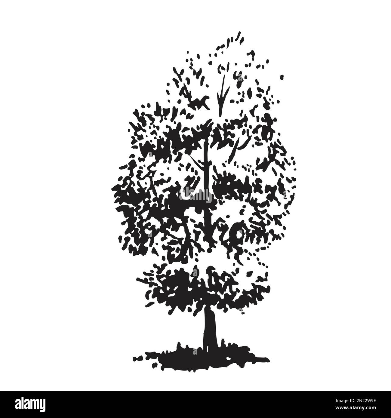 Handdrawn tree, linden. Black and white realistic image, sketch