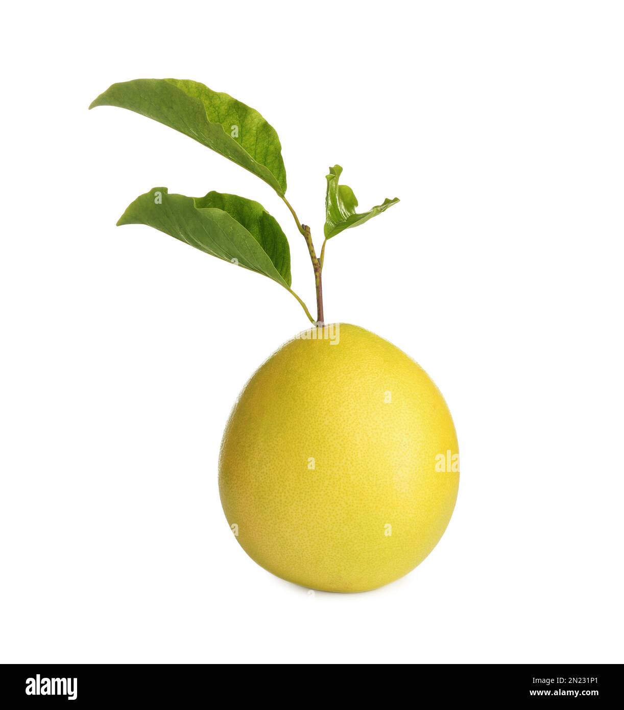 Fresh exotic pomelo fruit with leaves isolated on white Stock Photo Alamy