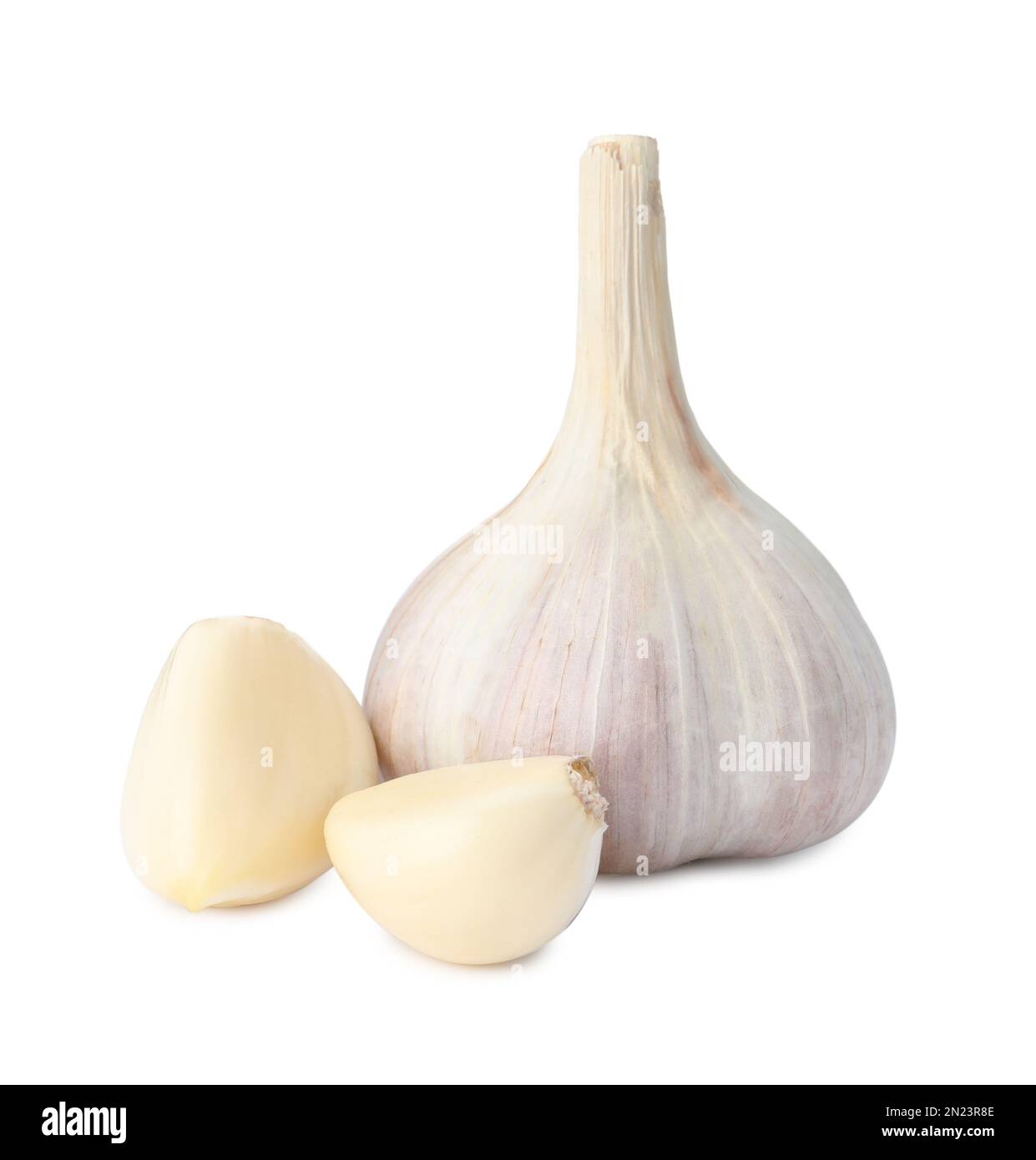 Fresh organic garlic bulb and cloves on white background Stock Photo ...