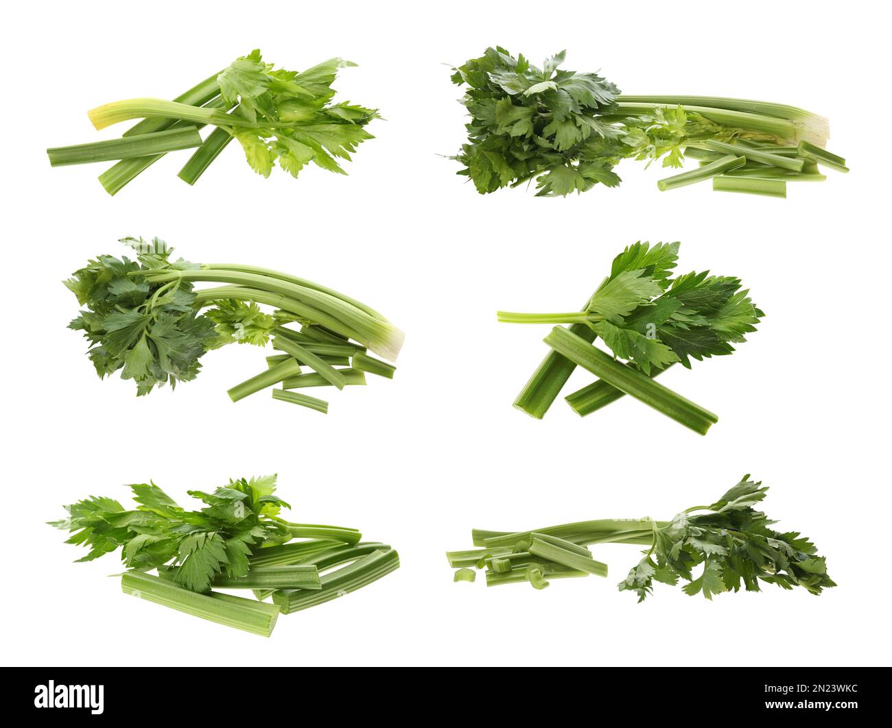 Collage with fresh green celery on white background Stock Photo Alamy