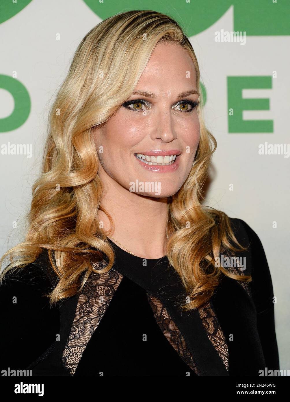 Actress Molly Sims attends the world premiere of quot Ted 2 quot at the Actress Molly Sims attends the world premiere of quot Ted 2 quot at the