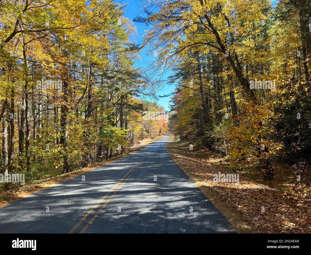 The beautiful view of the changing leaves from a vehicle on the Blue ...