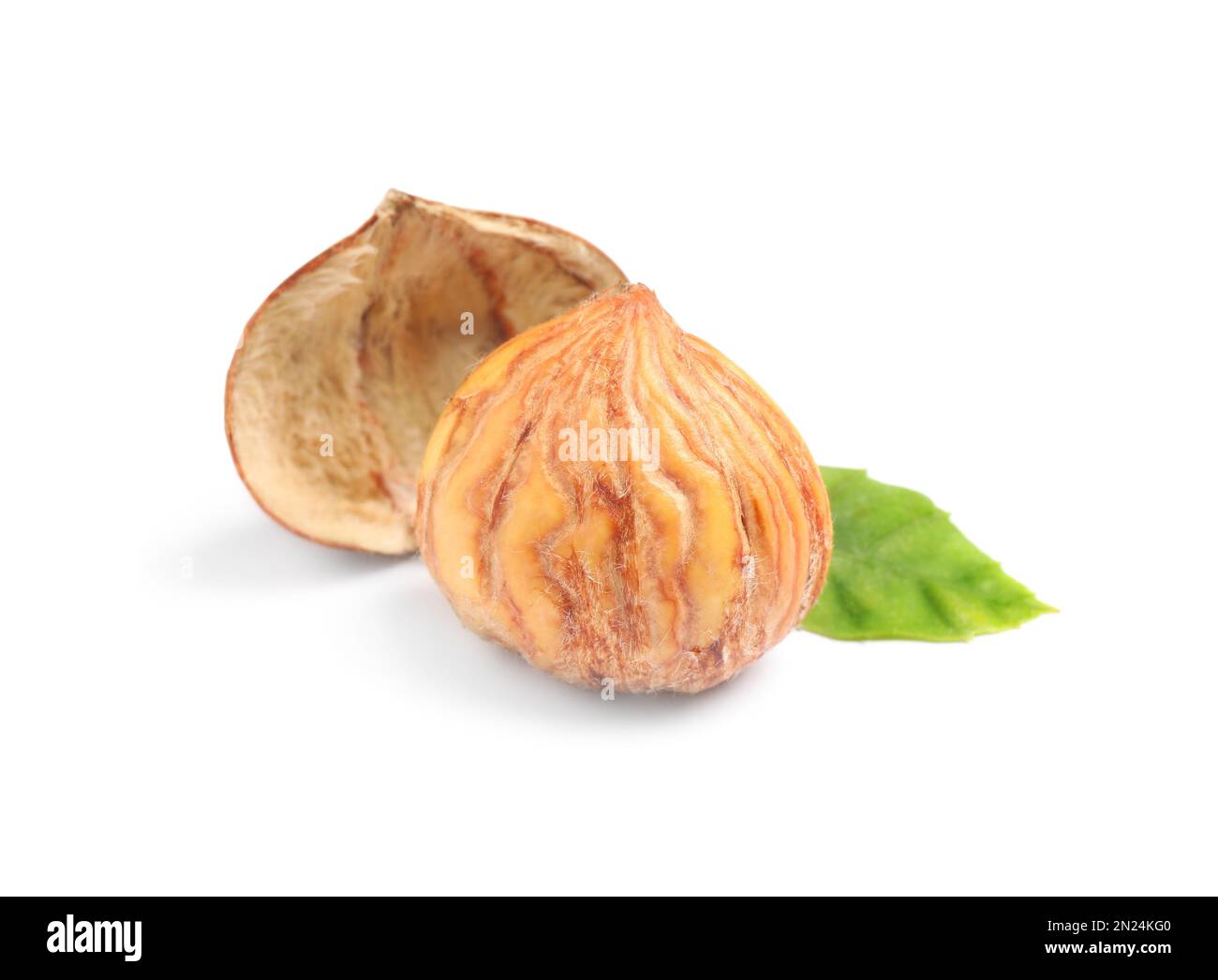 Fresh shelled sweet edible chestnut on white background Stock Photo