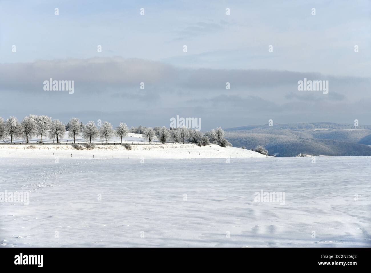 Country road with snowy trees Stock Photo - Alamy