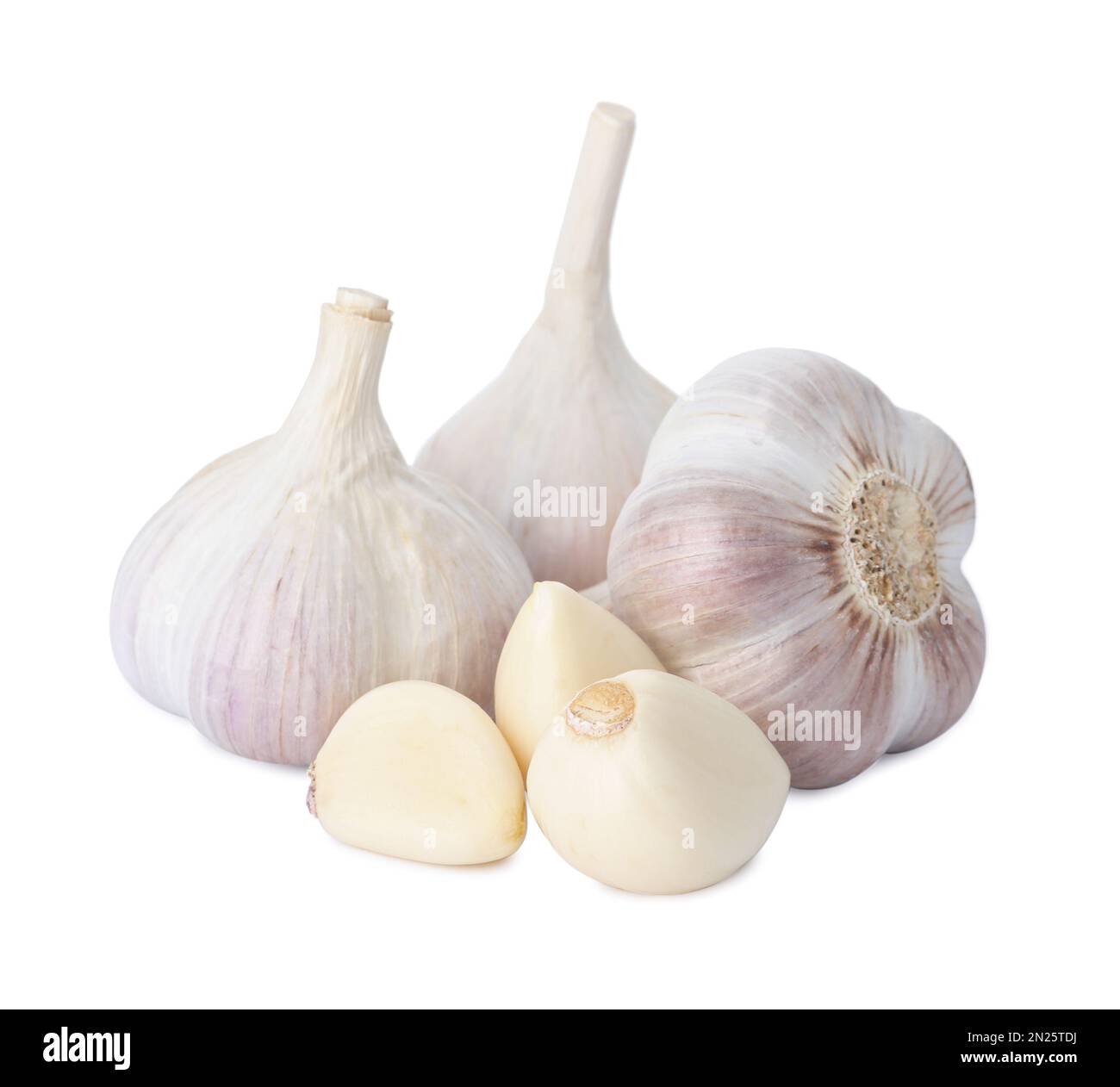Fresh organic garlic bulbs and cloves on white background Stock Photo ...