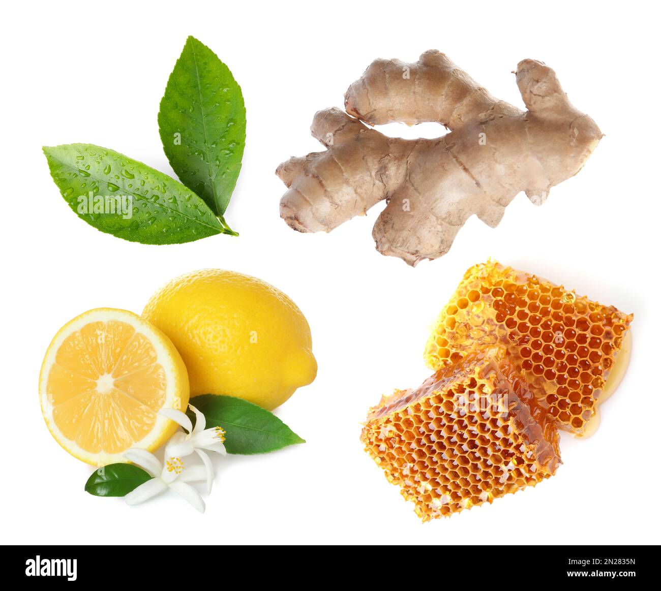 Ginger root, lemon and on white background Stock Photo Alamy
