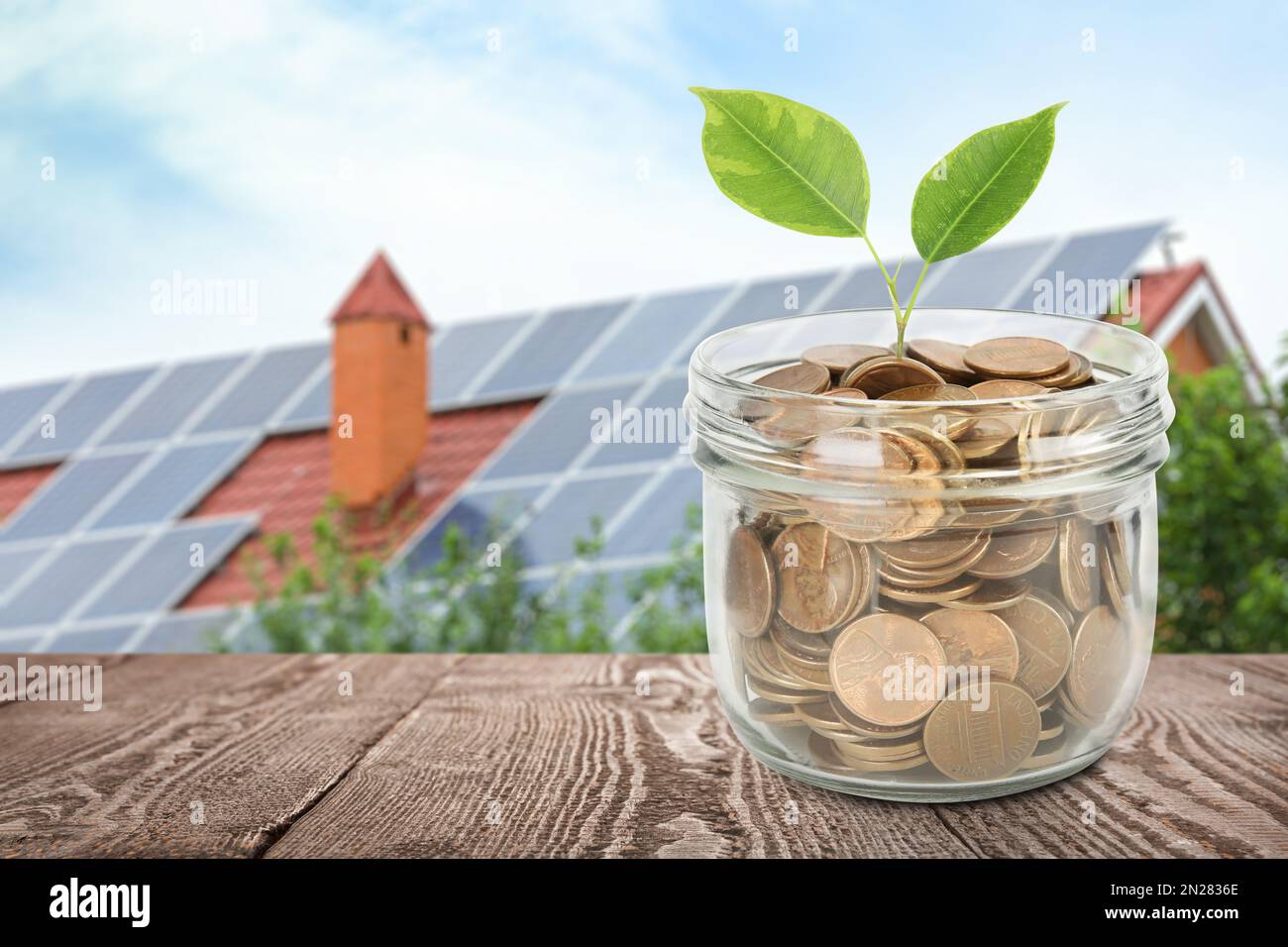 Glass jar with coins and plant against house with installed solar